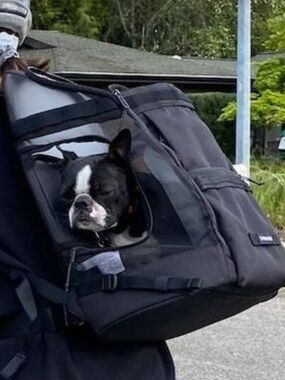 Timbuk2 Muttmover Gray and Black Luxe Dog Pet Carrier Backpack